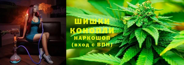 шишки Приозерск