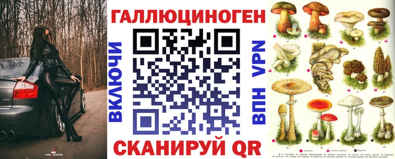 Псилоцибиновые грибы Cubensis  маркетплейс какой сайт  Алдан 